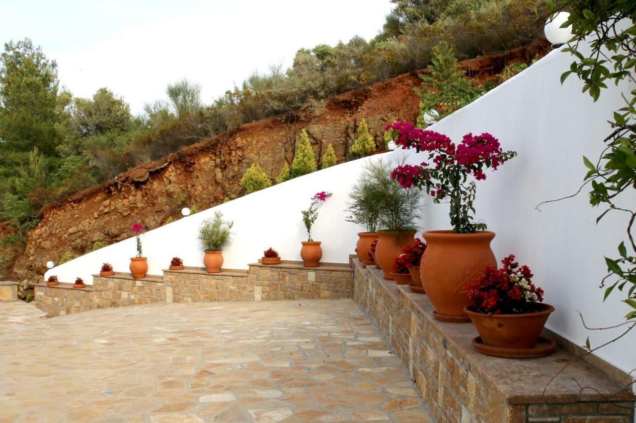 S&S Pura Vida Apartment Paliúri Kültér fotó